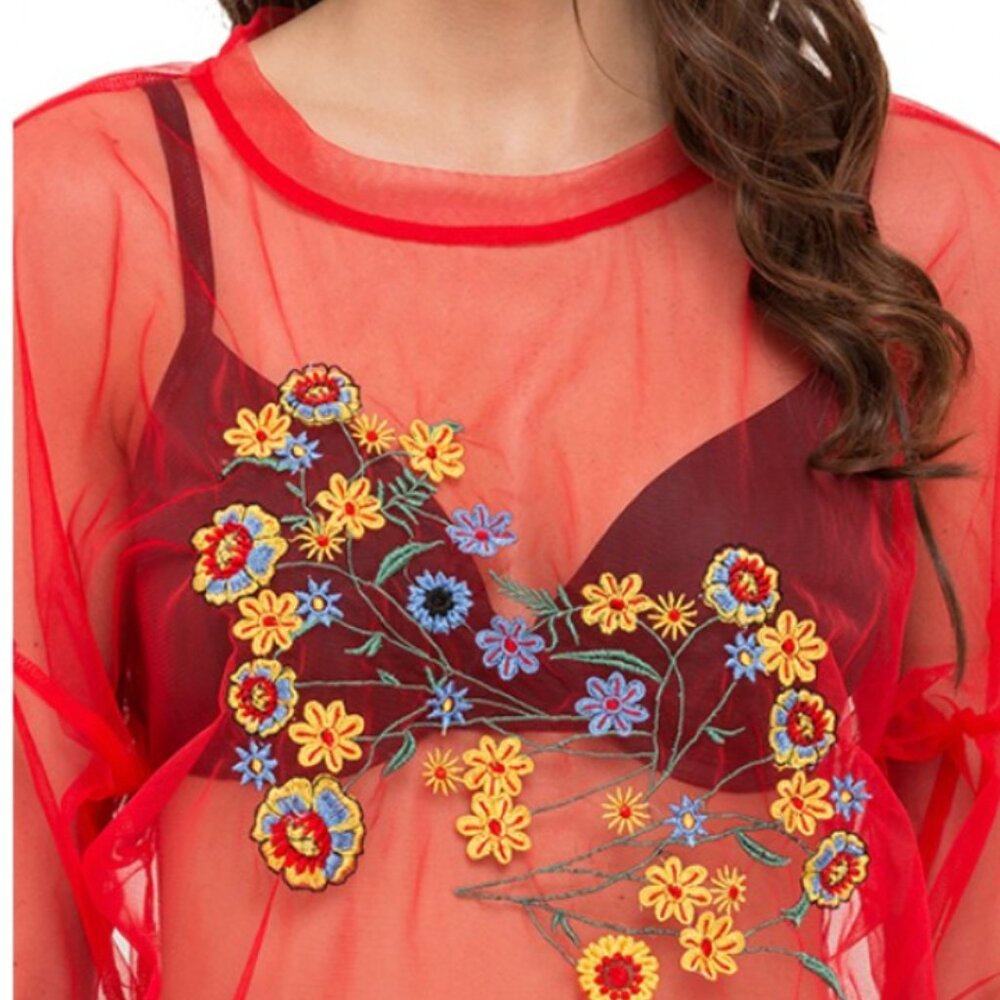 AMAZING Zara Net Oversize top with Embroidery